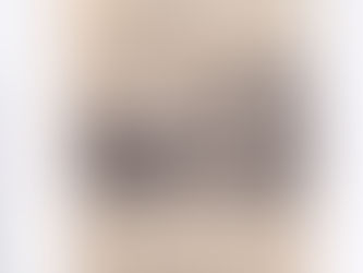 Lerebourg : un four pour traiter les mirabelles de Lorraine :