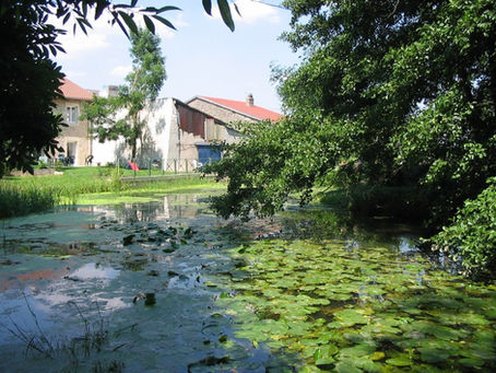 Sanzey : Quelques images...