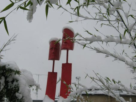 L'image du jour ( 29 novembre 2010 )