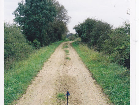 La ligne : Manonville - Noviant aux près: