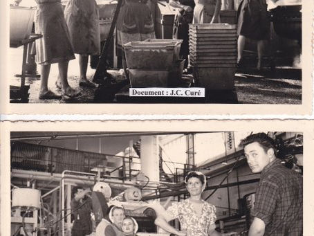 Lerebourg: les photos souvenirs du personnel :