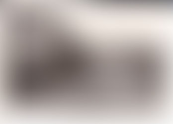 Lerebourg : la conserverie- confiturerie de Liverdun : suite ( III )