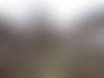 Un écho de la cité des madeleines : 19 janvier 2011 :