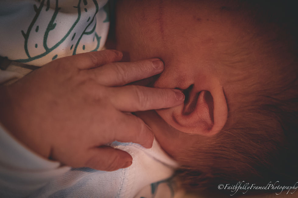 Colton Lane-5