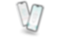 DreamSecurity_App_ukr.png