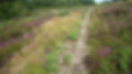 Chemin sur le mont Colquin