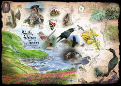 Récifs, landes et falaises du Cotentin en Normandie