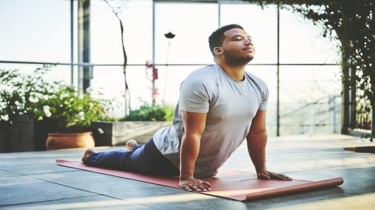 The Science of Yoga