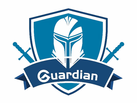 The Guardian R200 Wireless Home Security System
