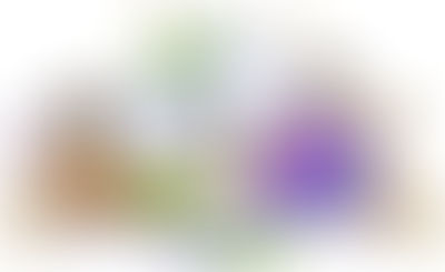 8 Σεπτεμβρίου: Παγκόσμια Ημέρα Εξάλειψης του Αναλφαβητισμού