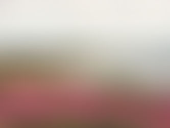 Happy St. Andrew's Day!