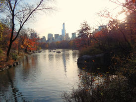 New York New York - Happy Thanksgiving!