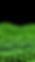 Untitled design-9.png
