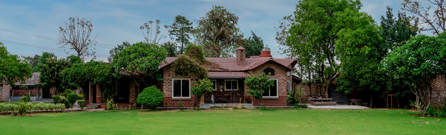 DSC04793-Edit (1).jpg