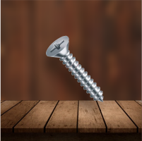 PARAFUSO AUTOFIX 1.png