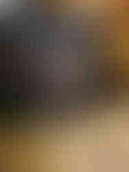 Entrevista Liliane Colorio