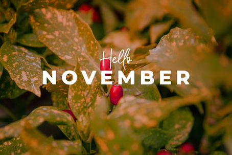 Welcome To November Newsletter!