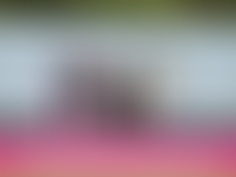 When I made it to the Guiness World Records