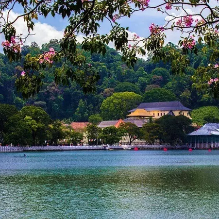 Scintillating Sri Lanka