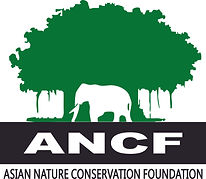 ANCF -HighResolutionLogo.jpg