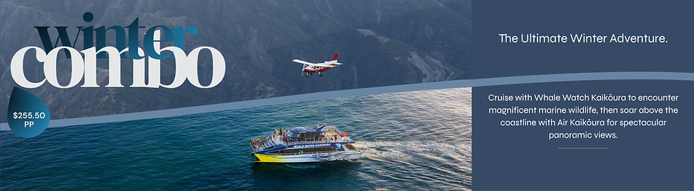 Winter Combo. whale watch kaikoura, scenic flight