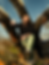 Rory tour headshot final.png
