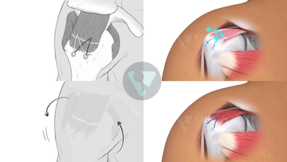 still-06.png