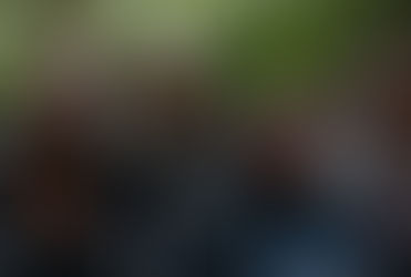 Students from St. Louis Public Schools visits Costa Rica for culture and biology trip