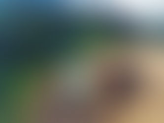 Lorell at Ricon de la Vieja National Park!