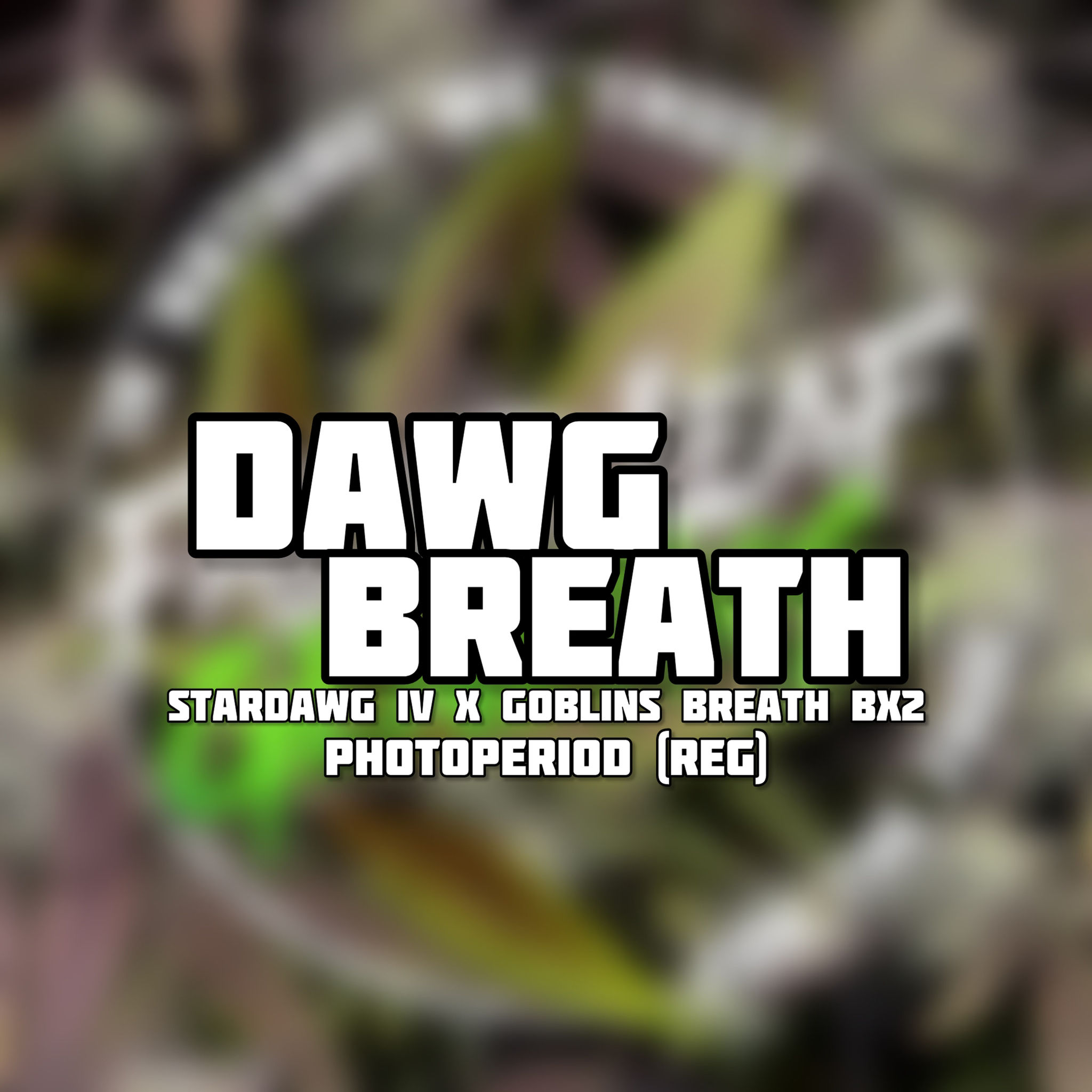 Dawg Breath - Photoperiod (regular)