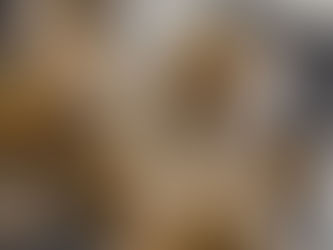 4/22会食partyについて🌹