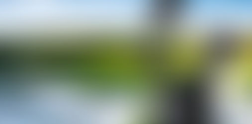 EL GOLF, UN DEPORTE DE CLASE