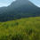 Miniatura: Pico do Baepi