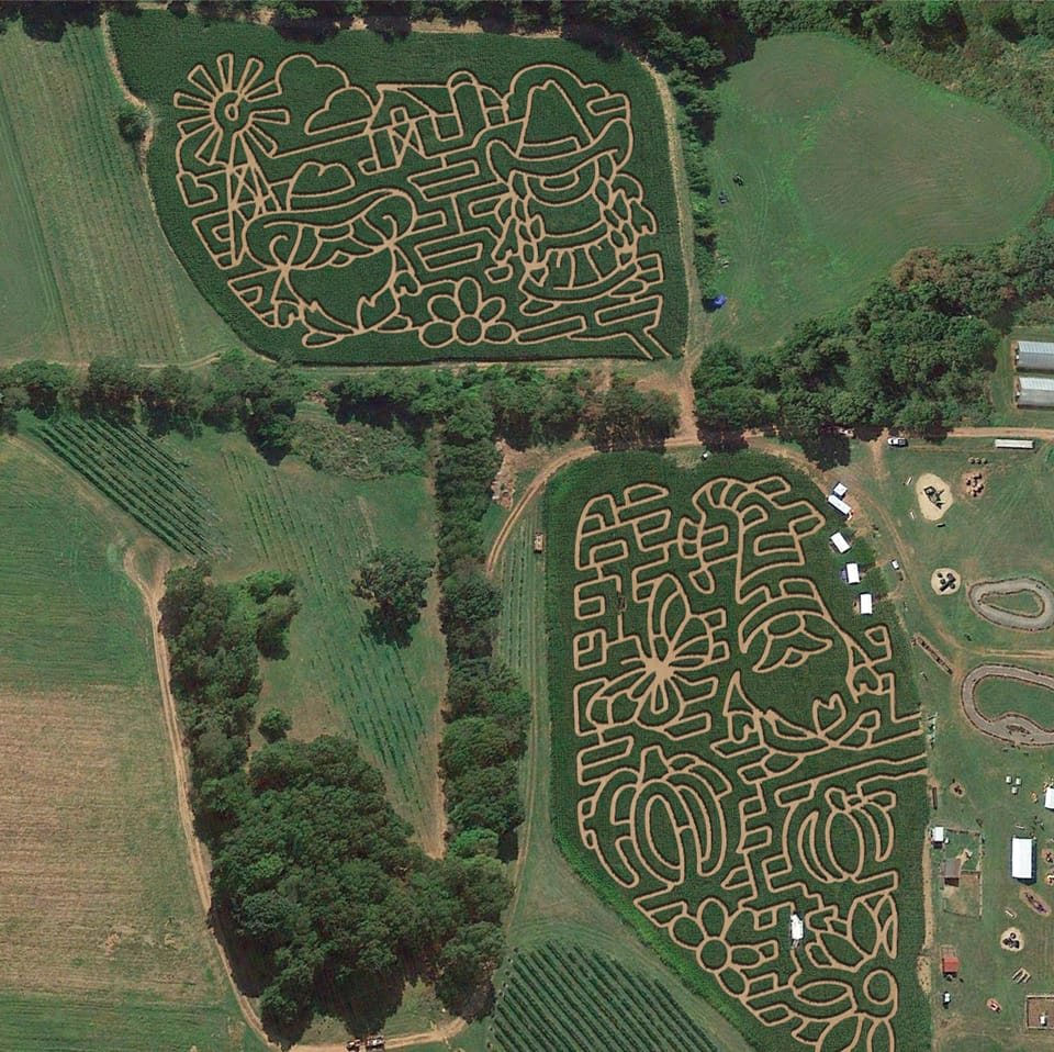 farm 2023 Gnomes.jpg