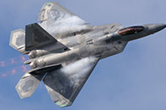 268_raptor.jpg