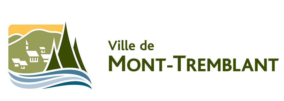 WEB-logo_VMT_RGB_3725x1335px (1).png