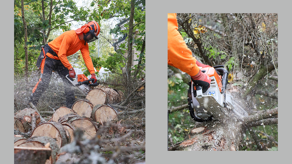 Yritysvalokuvaus | Piharevoluutio