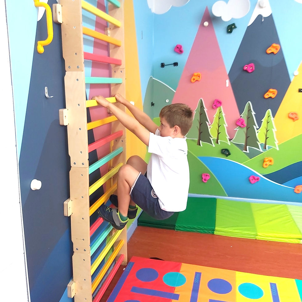 Thumbnail: Monkey Movement Wall Ladder