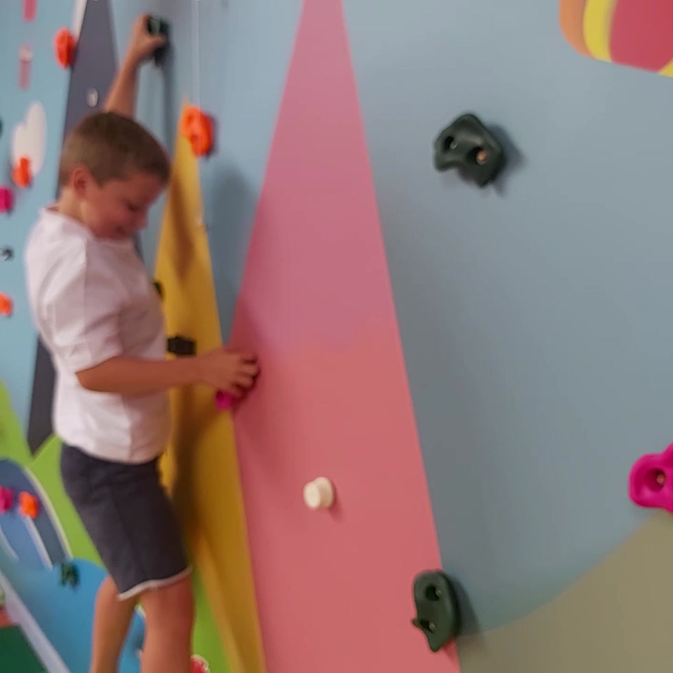 Thumbnail: Horizontal Climbing Walls