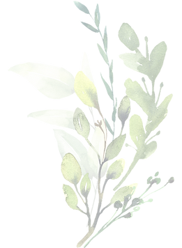 AdobeStock_437118498_2_edited.png