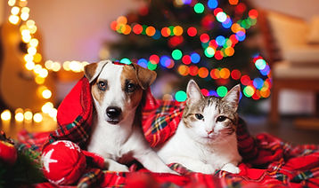 AdobeStock_183763230.jpeg
