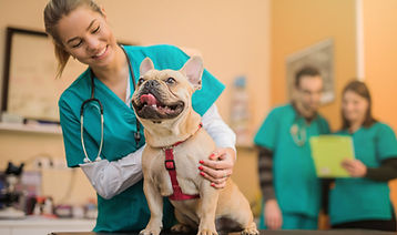 iStock-885571364.jpg