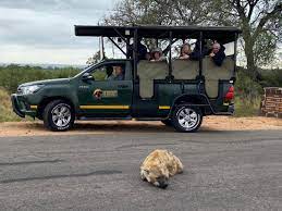 Game Drives