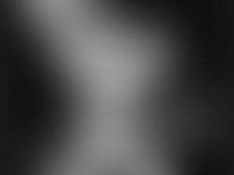 Friedenstaube Charlie Kirk