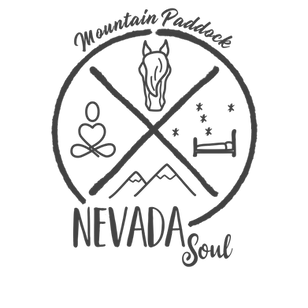 Logo Nevada MP EPAISSI bleu_edited.png