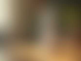 Protect Your Home with Richo Insecticide Solutions