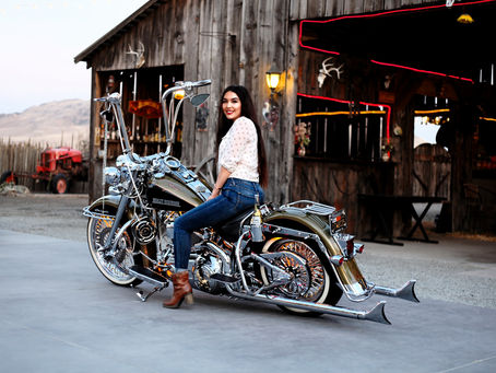 Full Customized Harley Davidson