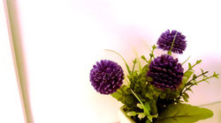 Residence Palazzo Zimatore - Pizzo