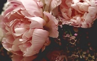 Screenshot 2025-08-25 at 4_edited.png