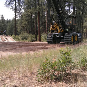 Sustainable Forestry